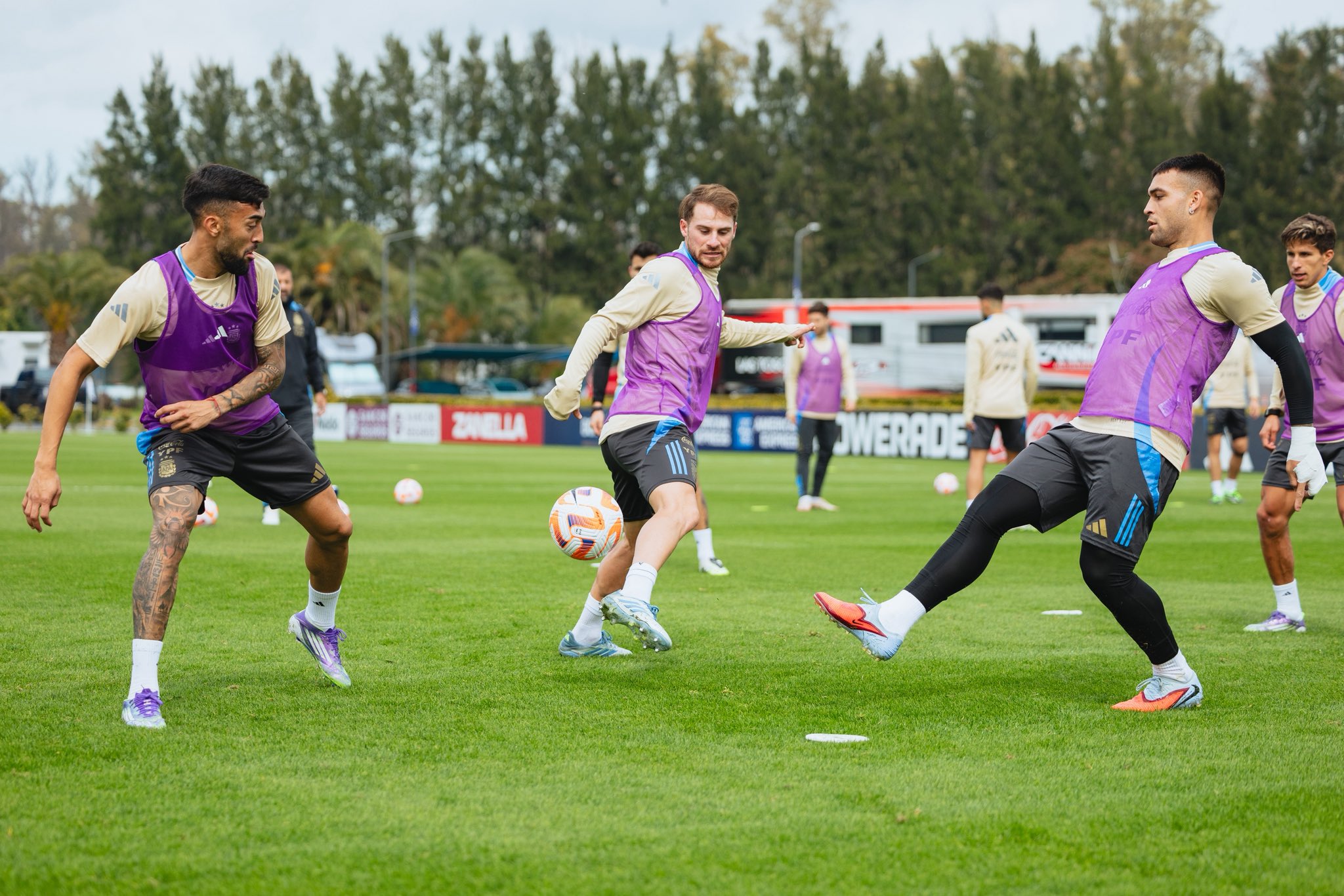 皇家马洛卡赢得胜利，专注训练备战(皇家马洛卡赛程)