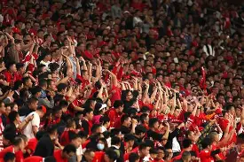 纳闷球迷尖叫欢呼，中国篮球联赛势如破竹的简单介绍